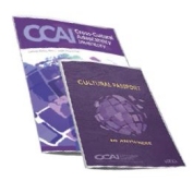 CCAI Action Planning Guide