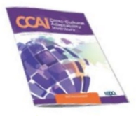 CCAI Self-Assessment